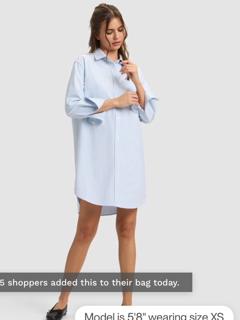Cozy Earth 100% Cotton Blue Oxford Stripe Shirt Dress